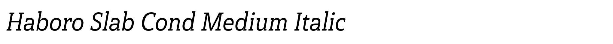 Haboro Slab Cond Medium Italic image